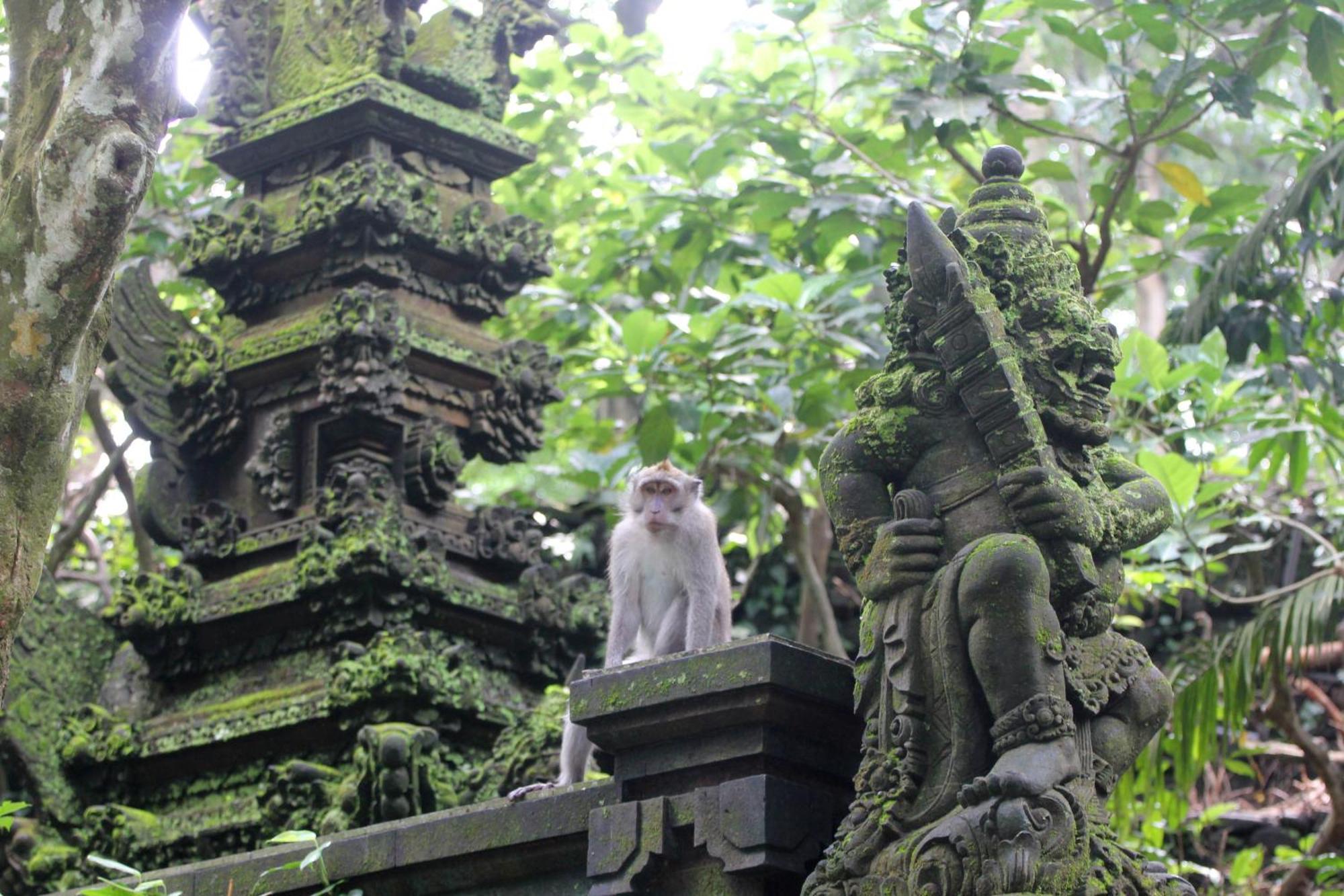Sari Gong Guest House, A Trishula Collection Ubud Exteriér fotografie